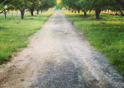 driveway maintenance southern highlands before